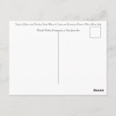 Trajan's Column Rome Italië Briefkaart (Achterkant)