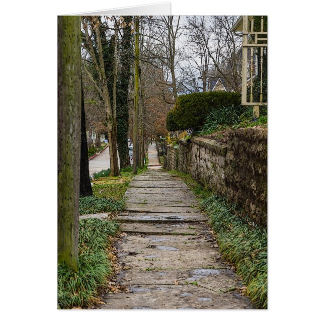 Traject op niveau (Voorkant)