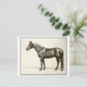 Trakehner Stallion Briefkaart (Staand voorkant)