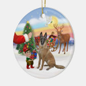 Traktatie - Belgische Malinois Keramisch Ornament (Links)