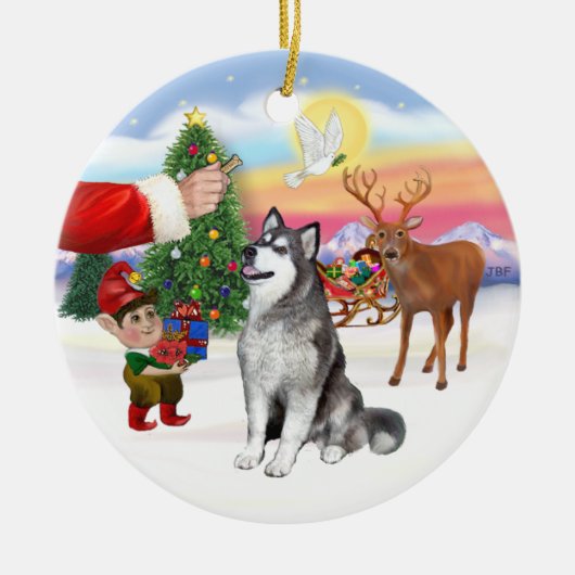 Traktatie voor een Alaskan Malamute Keramisch Ornament (Voorkant)