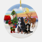 Traktatie voor een Berner Sennenhond & Puppy Keramisch Ornament (Achterkant)