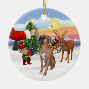Traktatie voor een Boxer Keramisch Ornament