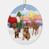 Traktatie voor een Brusselse Griffon Keramisch Ornament (Links)