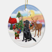 Traktatie voor een Flat Coated Retriever Keramisch Ornament (Links)