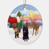 Traktatie voor een Schipperke Keramisch Ornament (Links)