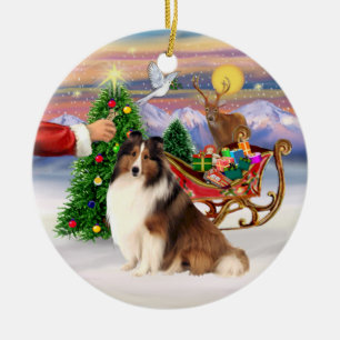 Traktatie voor een Shetland Sheepdog (#7) Keramisch Ornament