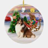Traktatie voor een Shetland Sheepdog (#7) Keramisch Ornament (Achterkant)
