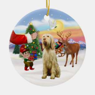 Traktatie voor een Spinone Italiano Keramisch Ornament
