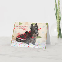 Traktaties in mijn voorraad