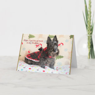 Traktaties in mijn voorraad kaart