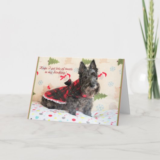 Traktaties in mijn voorraad kaart (Voorkant)