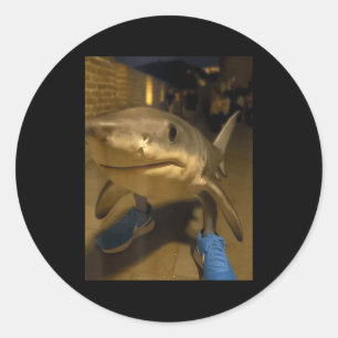 Tralalero tralala haaiememe ronde sticker