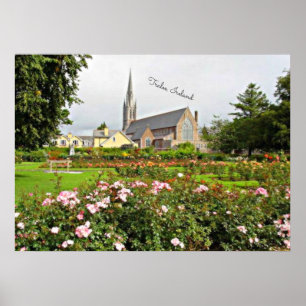 Tralee, Ierland Roos Garden Poster