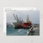 Trampers en zeegarren, Nederlandse haven, AK Briefkaart (Voorkant / Achterkant)