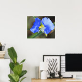 Tranen van Weduwen Poster (Thuiskantoor)