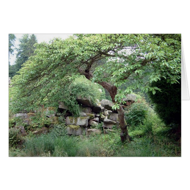 Trankwaliteit (Voorkant Horizontaal)