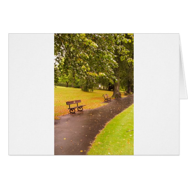 TRANQUIDITEIT (Voorkant Horizontaal)