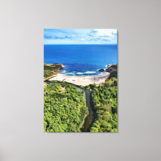 Tranquil Beach at the River Mouth – Wild Nature La Canvas Afdruk (Voorkant)