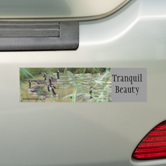 Tranquil Beauty Inspirerend Bumpersticker (Op auto)
