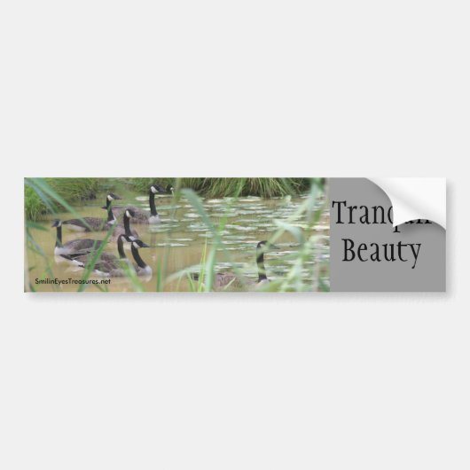 Tranquil Beauty Inspirerend Bumpersticker (Voorkant)