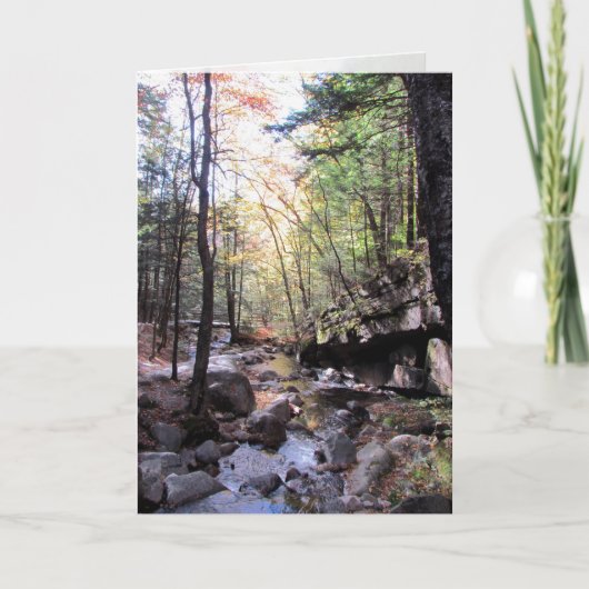 Tranquil Birthday Wishes Kaart (Voorkant)