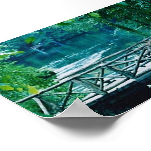tranquil bridge print (Hoek)