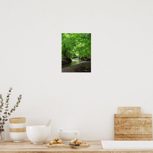 Tranquil Curvy Stream Forest Poster (Keuken)