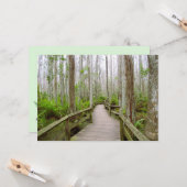 Tranquil Day in het moeras Flat wenskaart Kaart (Voorkant / Achterkant in situ)