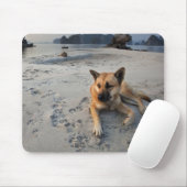 Tranquil Dog op strand Muismat (Met muis)