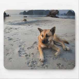 Tranquil Dog op strand Muismat