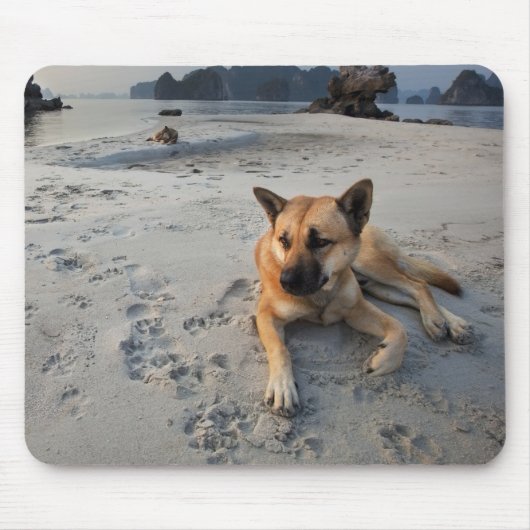 Tranquil Dog op strand Muismat (Voorkant)
