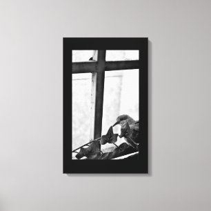 Tranquil Dove Canvas Afdruk