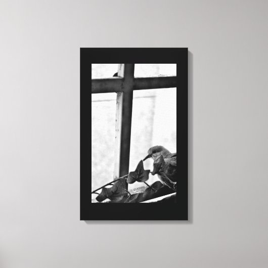 Tranquil Dove Canvas Afdruk (Voorkant)