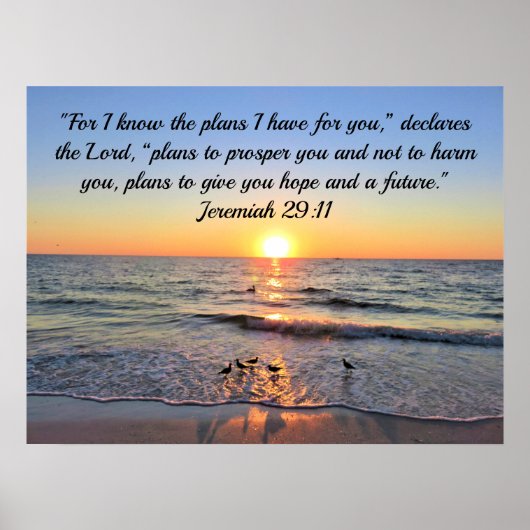 TRANQUIL EN CALM JEREMIAH 29:11 SUNRISE POSTER (Voorkant)