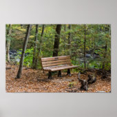 Tranquil Forest Bench in Autumn Poster (Voorkant)