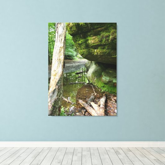 Tranquil Forest Canvas Print | Real Landscape (Insitu (Houten vloer))