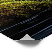 🌿 Tranquil Forest Stream with Wildflowers 💜✨ Poster (Hoek)