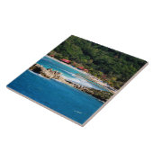 Tranquil Island Paradise Labadee Haiti Tegeltje (Zijkant)