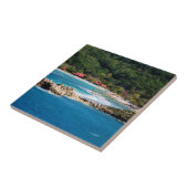 Tranquil Island Paradise Labadee Haiti Tegeltje (Zijkant)