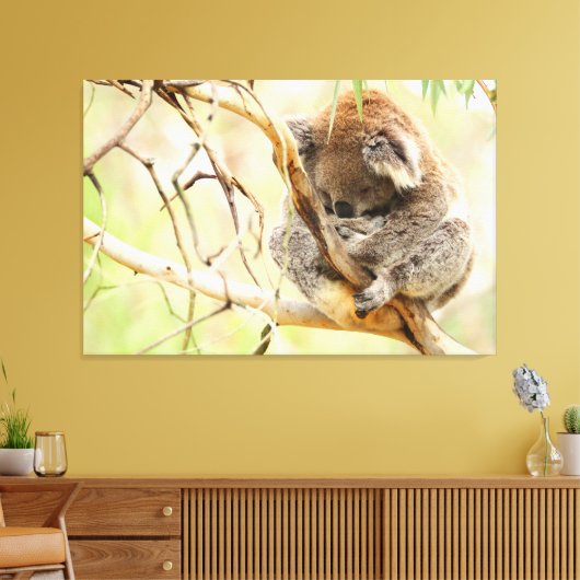 TRANQUIL KOALA 32x48 Canvas Afdruk (Insitu (Woonkamer))