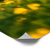 Tranquil landschap in zonnestralen. Mooie su Poster (Hoek)