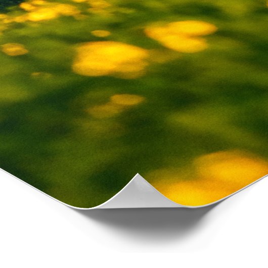 Tranquil landschap in zonnestralen. Mooie su Poster (Hoek)