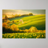 Tranquil landschap in zonnestralen. Mooie su Poster (Voorkant)