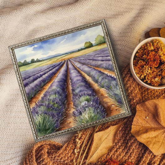 : Tranquil Lavendel Veld Foto Afdruk
