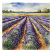 : Tranquil Lavendel Veld Foto Afdruk (Voorkant)