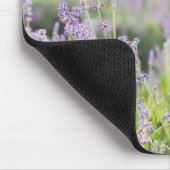 Tranquil Lavendel veld Muismat (Hoek)