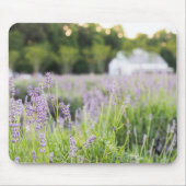 Tranquil Lavendel veld Muismat (Voorkant)