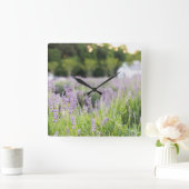 Tranquil Lavendel veld Vierkante Klok (Huis)
