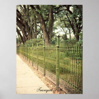 Tranquil pad afdrukken poster